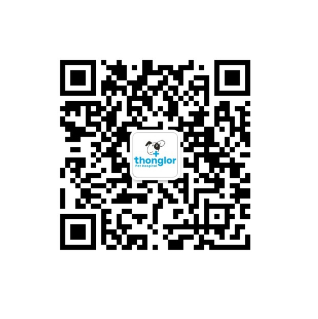 WeChat QR